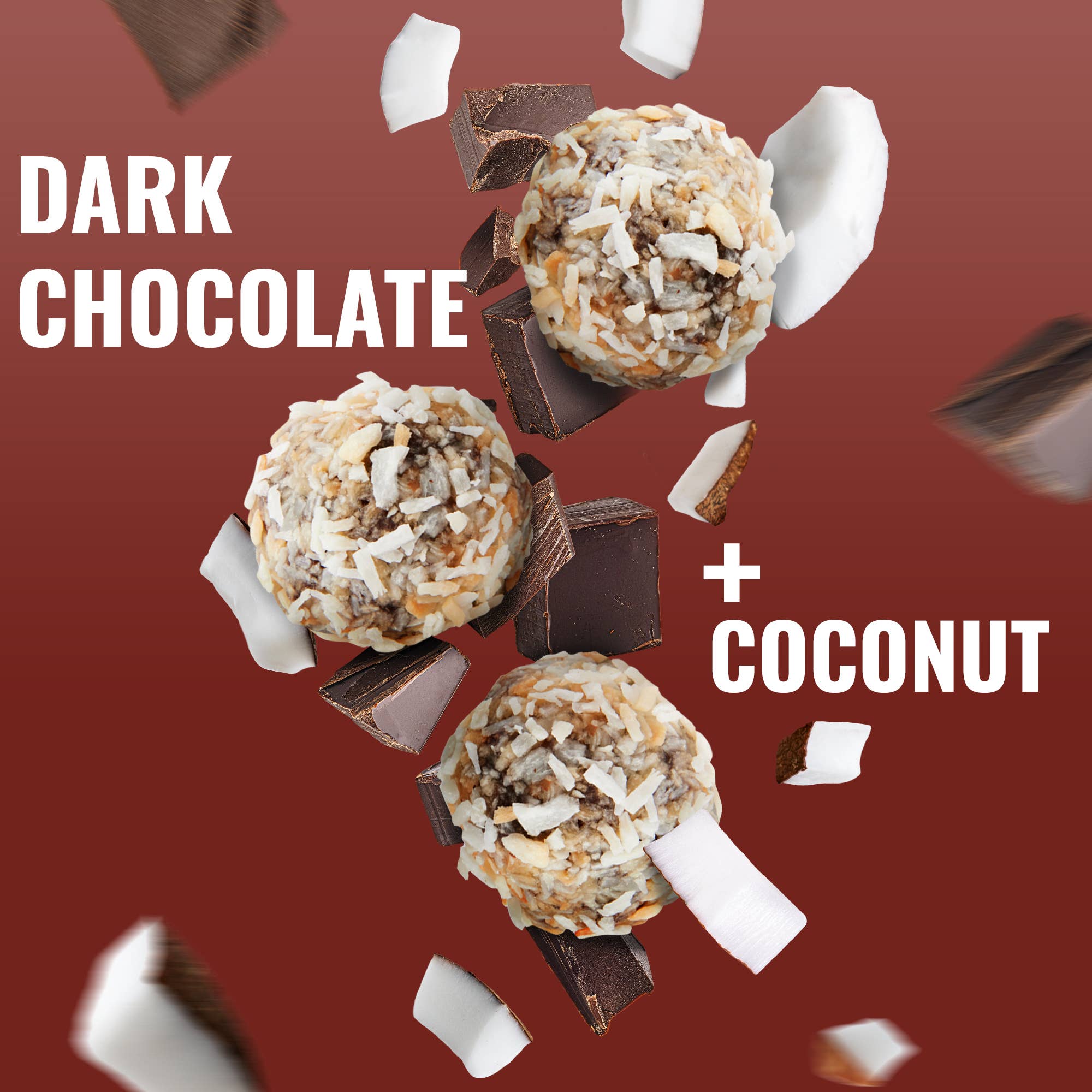 The GFB: Dark Chocolate Coconut Gluten Free Protein Bites 6 pck — product image
