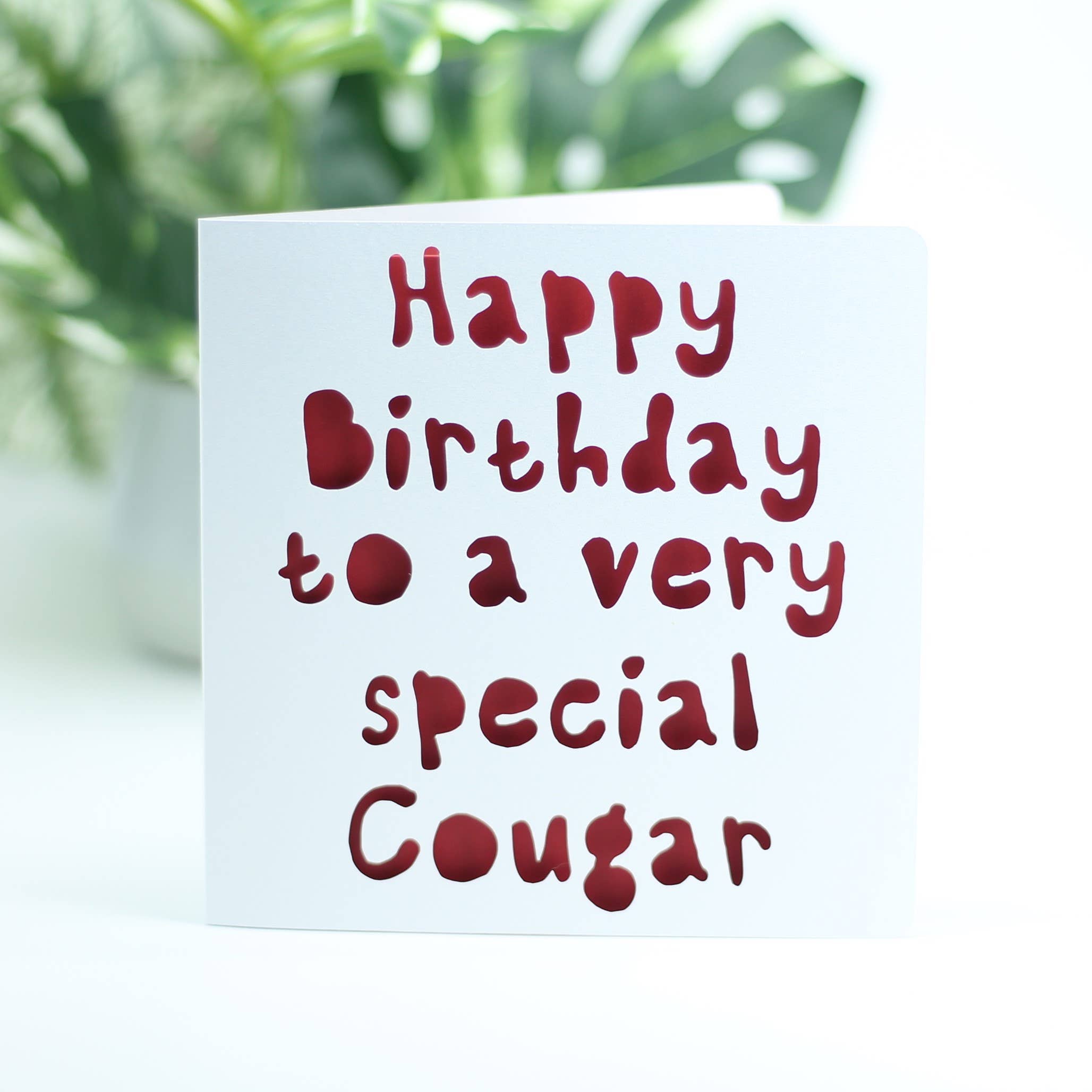 Happy birthday to a very special cougar...: Pink