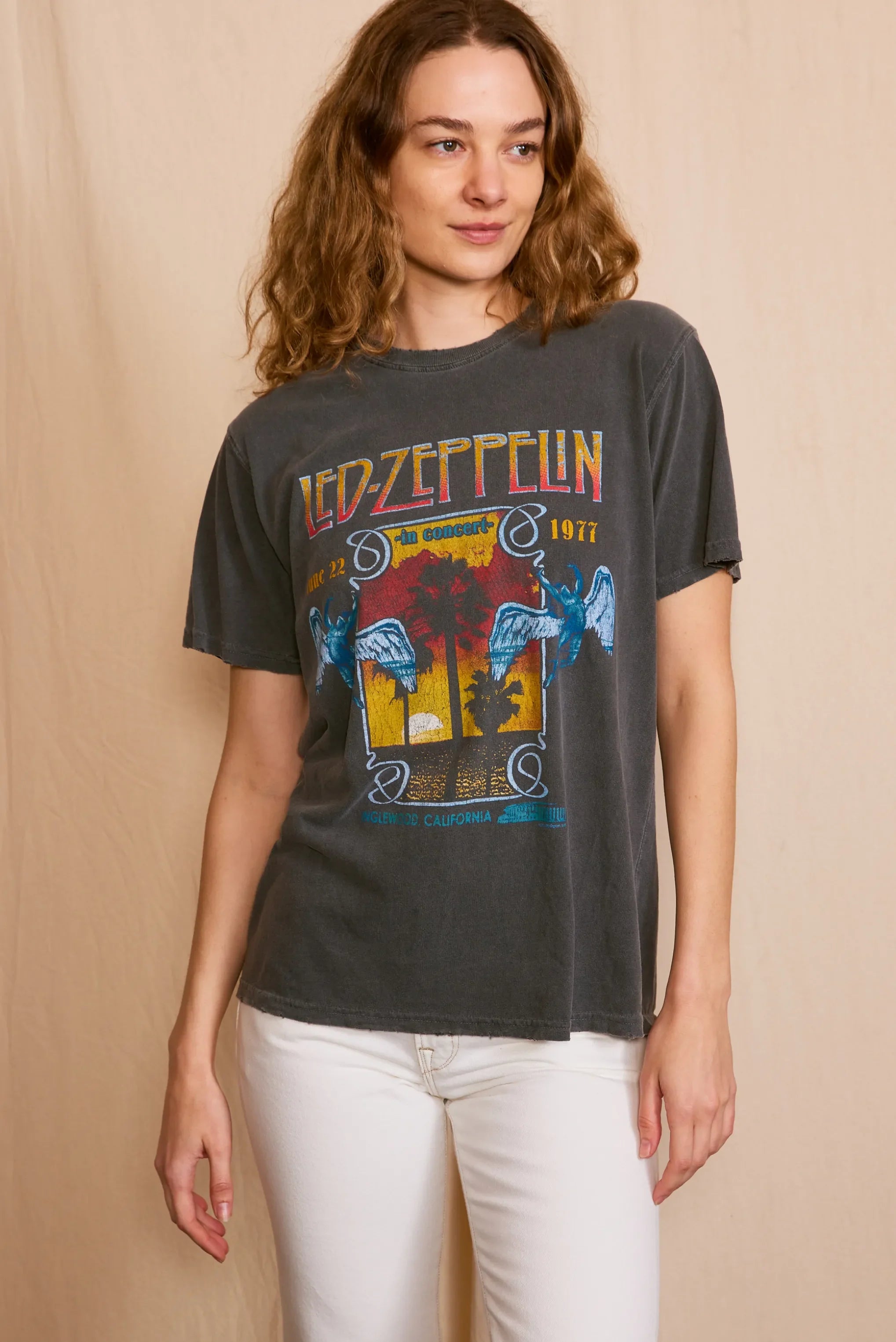 Led Zeppelin Inglewood Sunkissed Gray Tee — product image