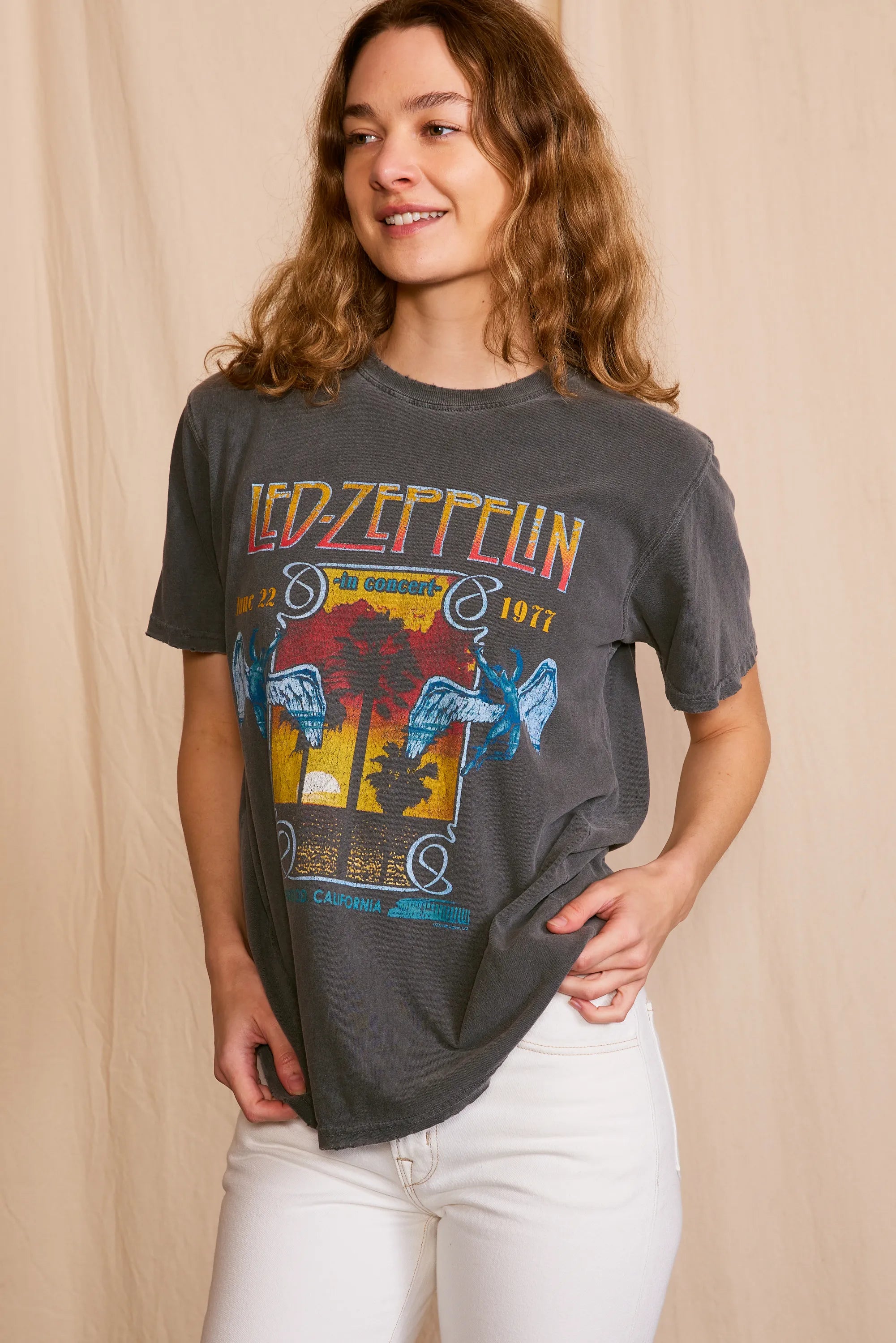 Led Zeppelin Inglewood Sunkissed Gray Tee — product image
