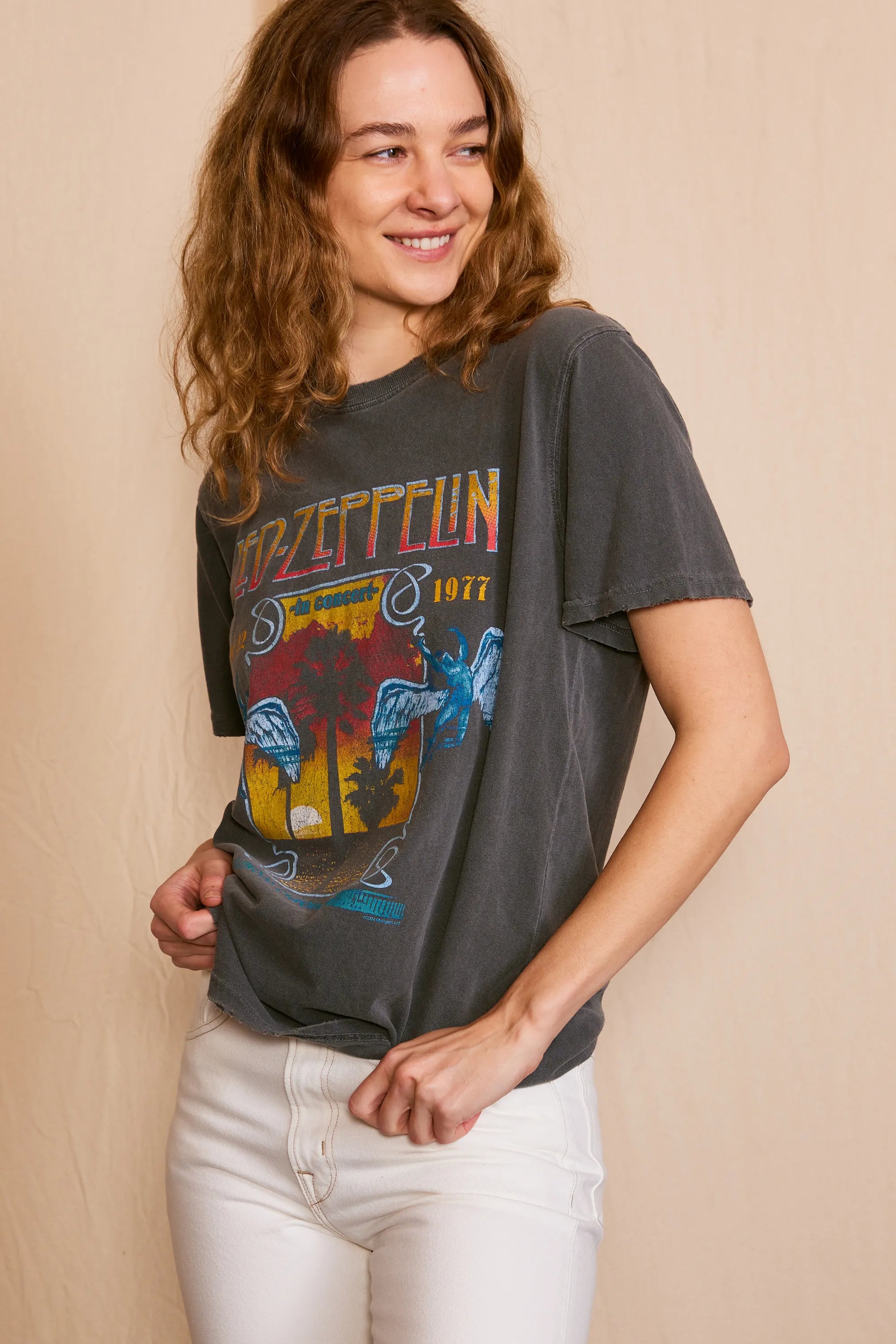 Led Zeppelin Inglewood Sunkissed Gray Tee — product image