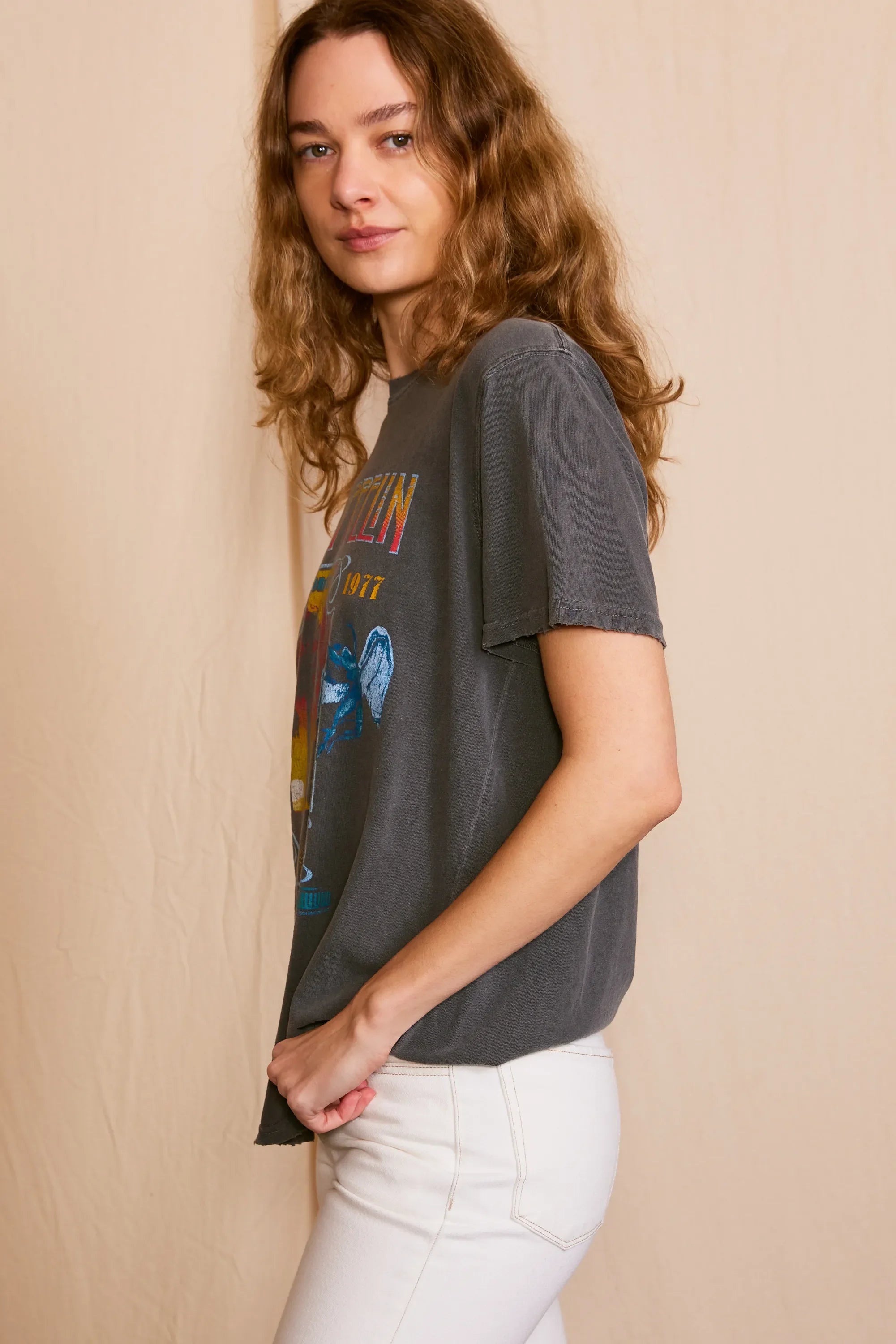 Led Zeppelin Inglewood Sunkissed Gray Tee — product image