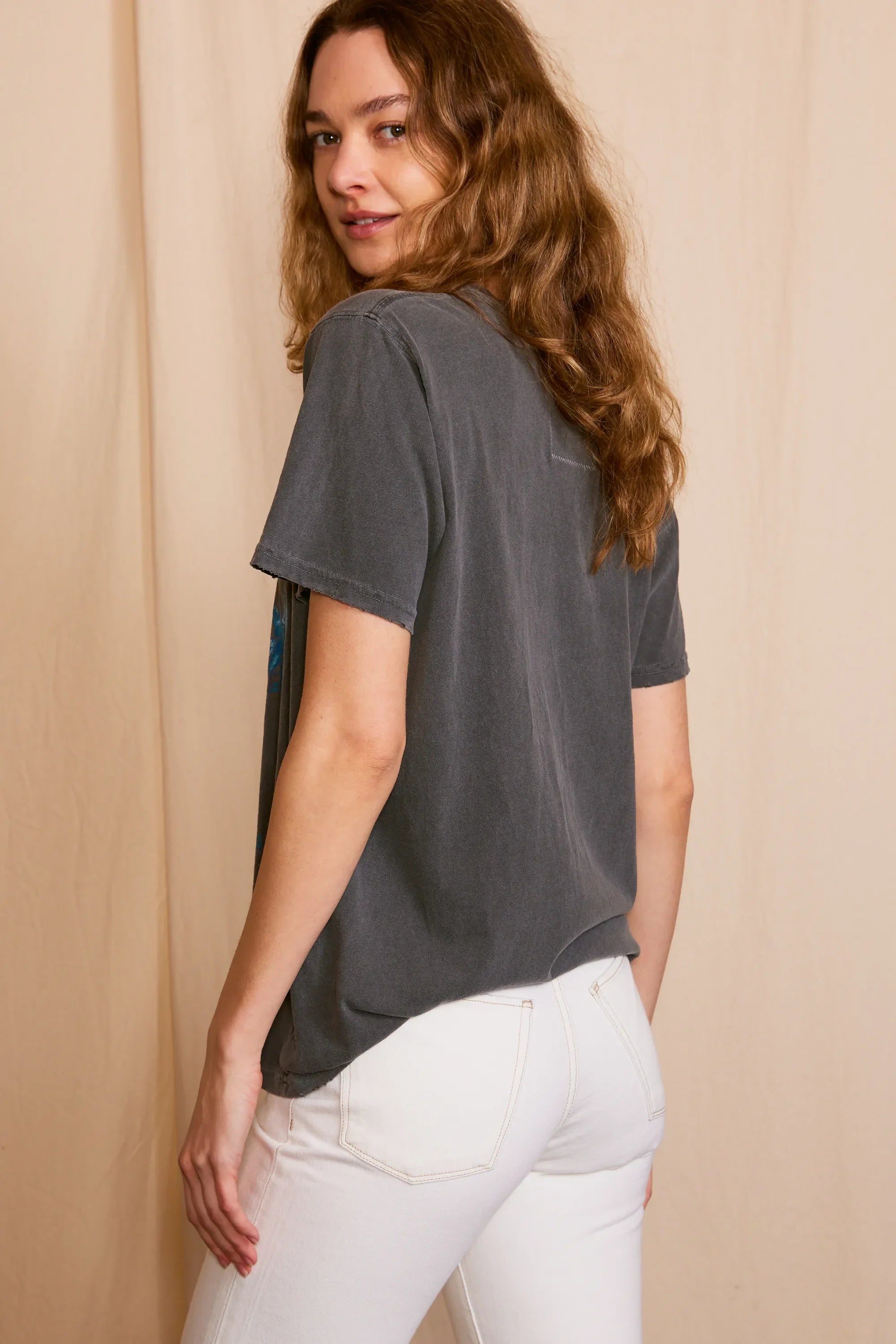 Led Zeppelin Inglewood Sunkissed Gray Tee — product image