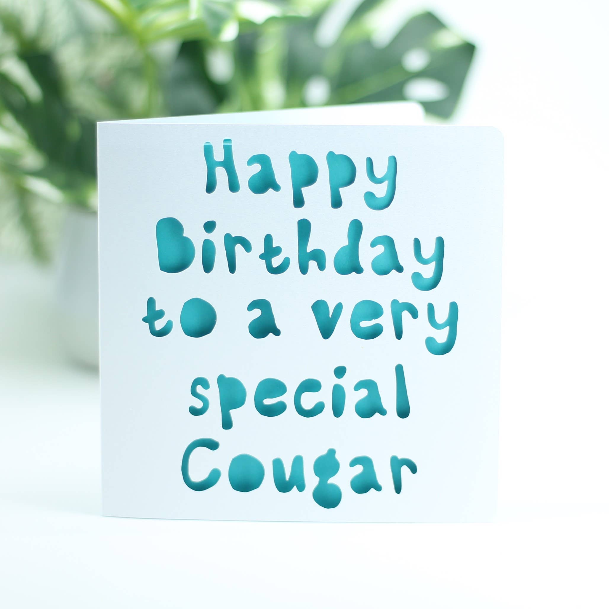 Happy birthday to a very special cougar...: Pink