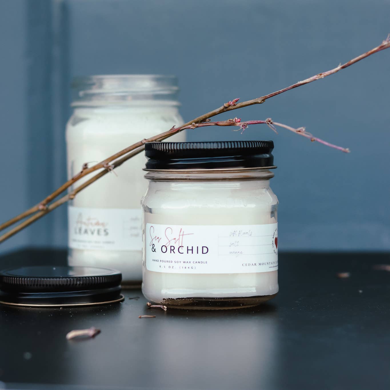 FALL SCENTS: Mason Jar Soy Candle: Toasted Pumpkin & Cranberry / 6.5 oz