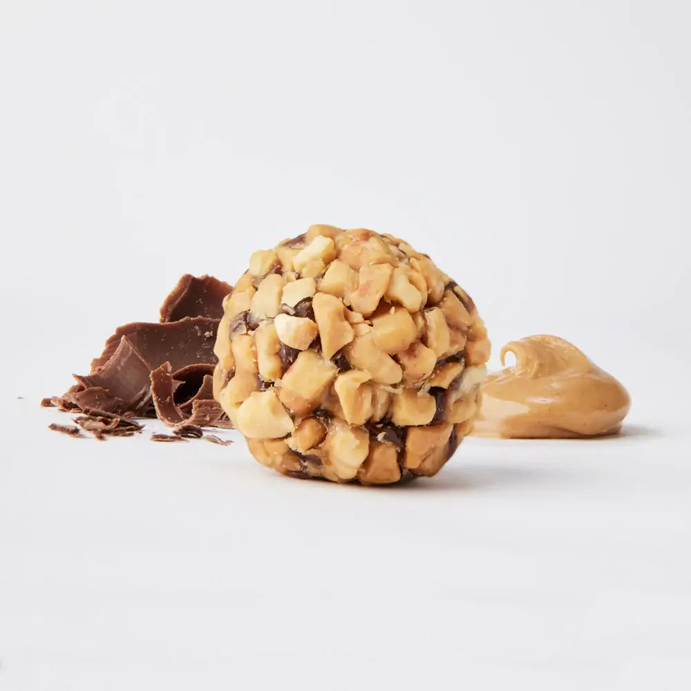 The GFB: Dark Chocolate Peanut Butter Protein Bites