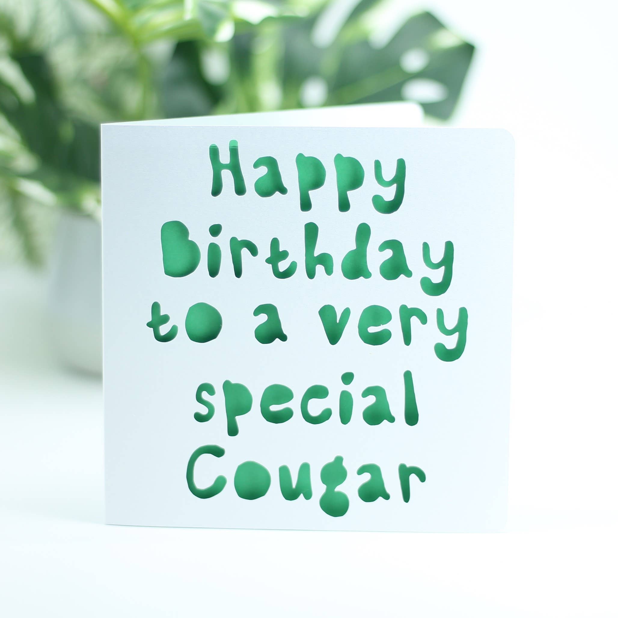 Happy birthday to a very special cougar...: Pink
