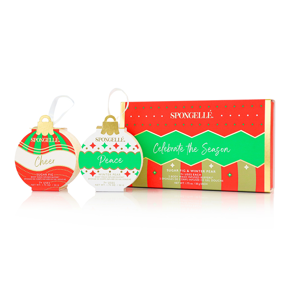 Celebrate the Season | Holiday Ornament Gift Set — product image