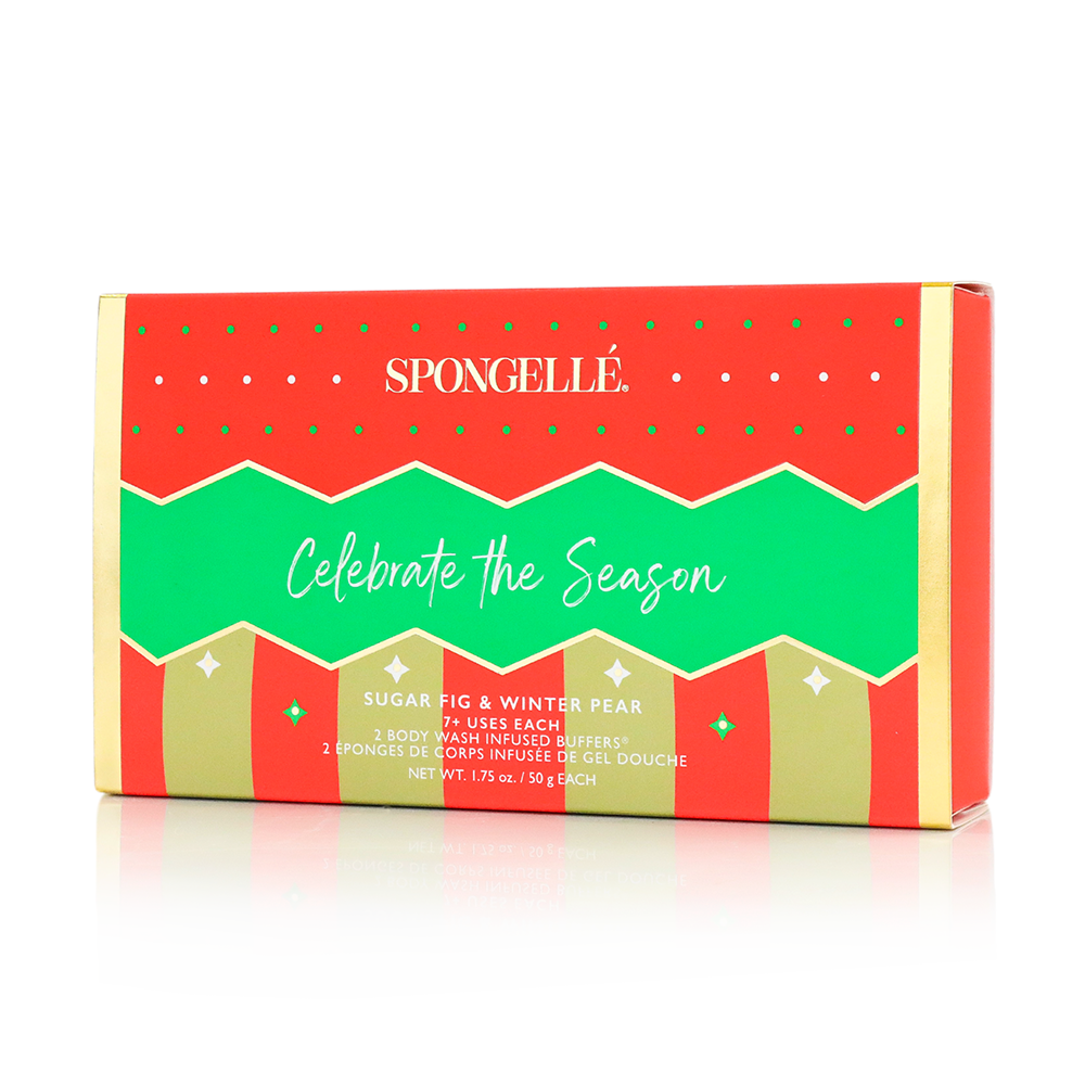 Celebrate the Season | Holiday Ornament Gift Set — product image