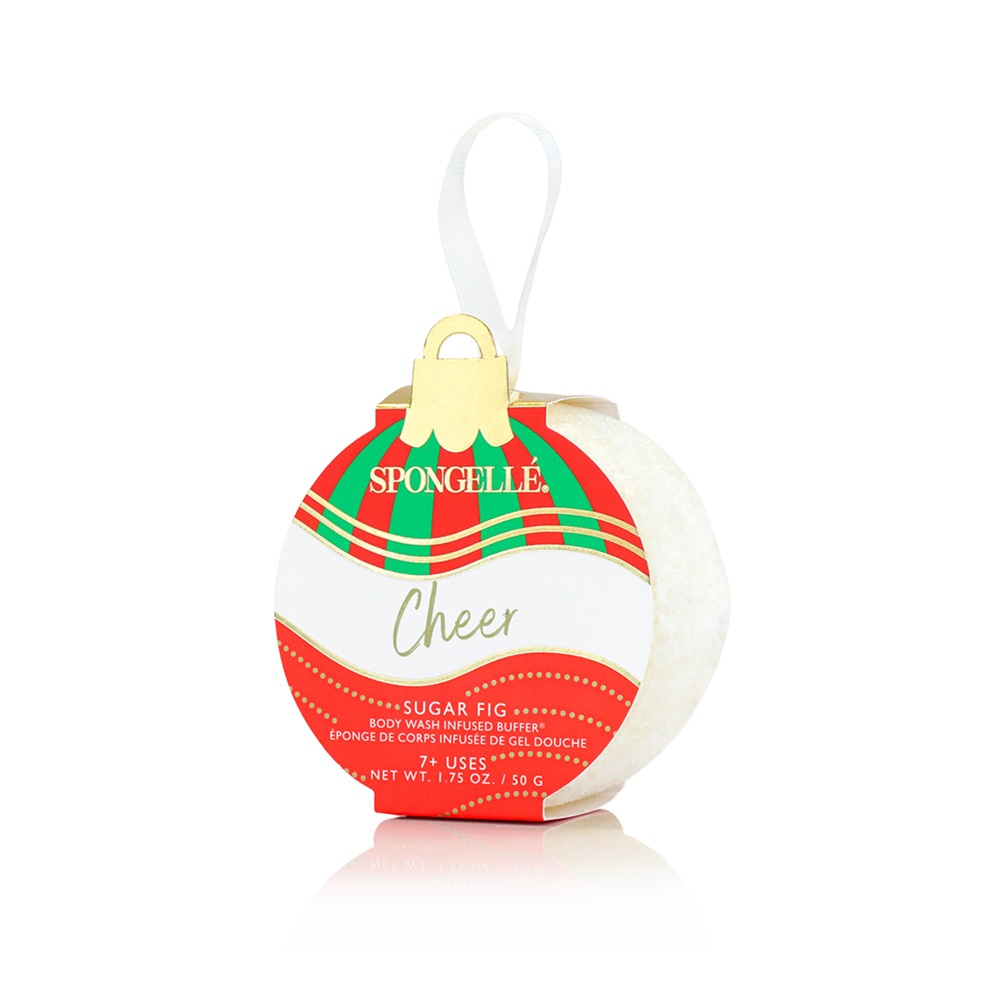 Celebrate the Season | Holiday Ornament Gift Set — product image