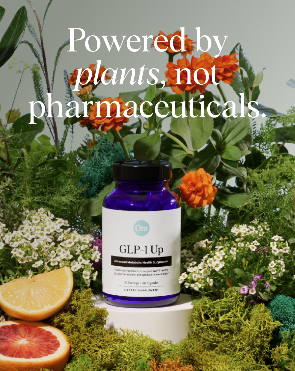 Natural GLP-1 Support