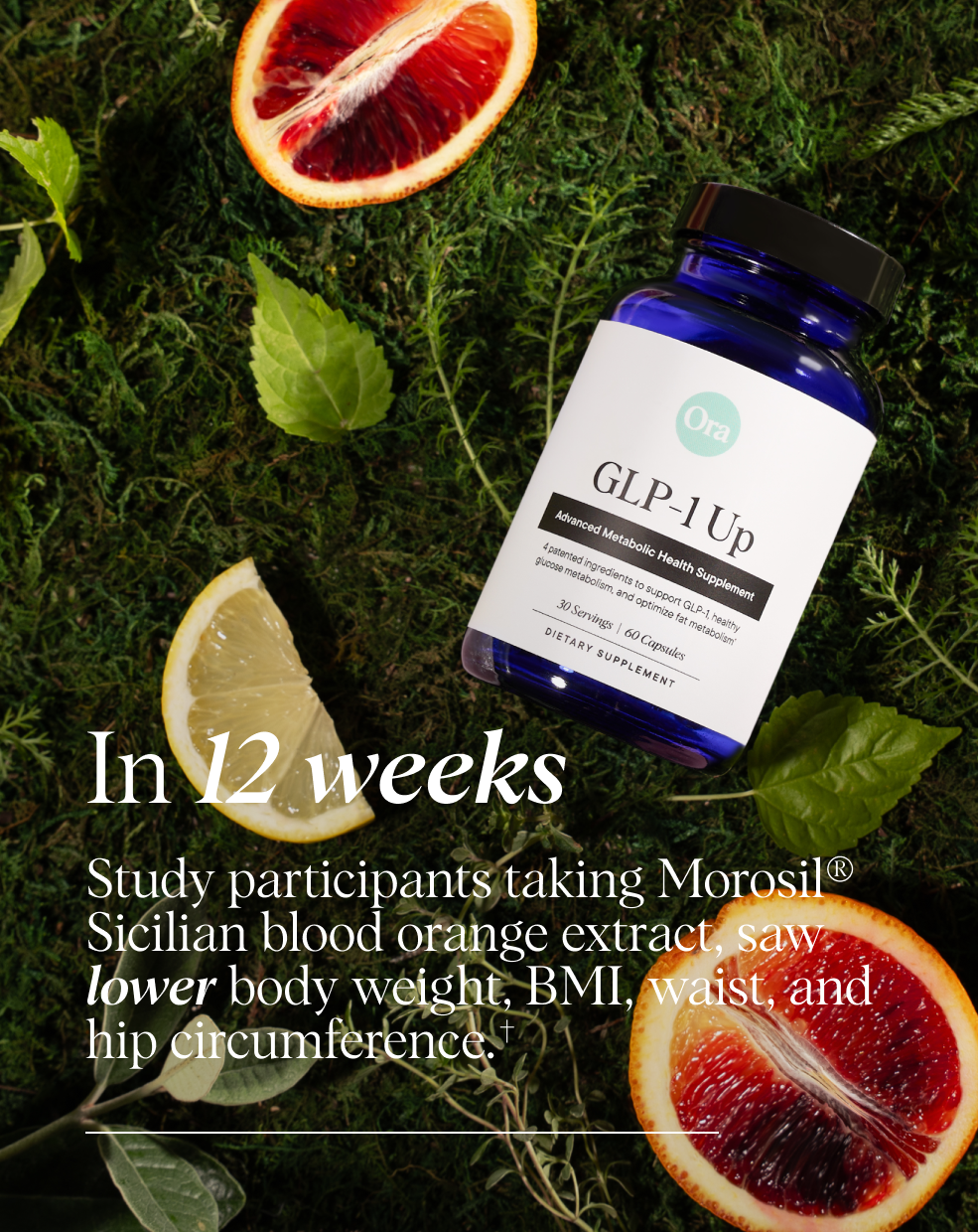 Natural GLP-1 Support