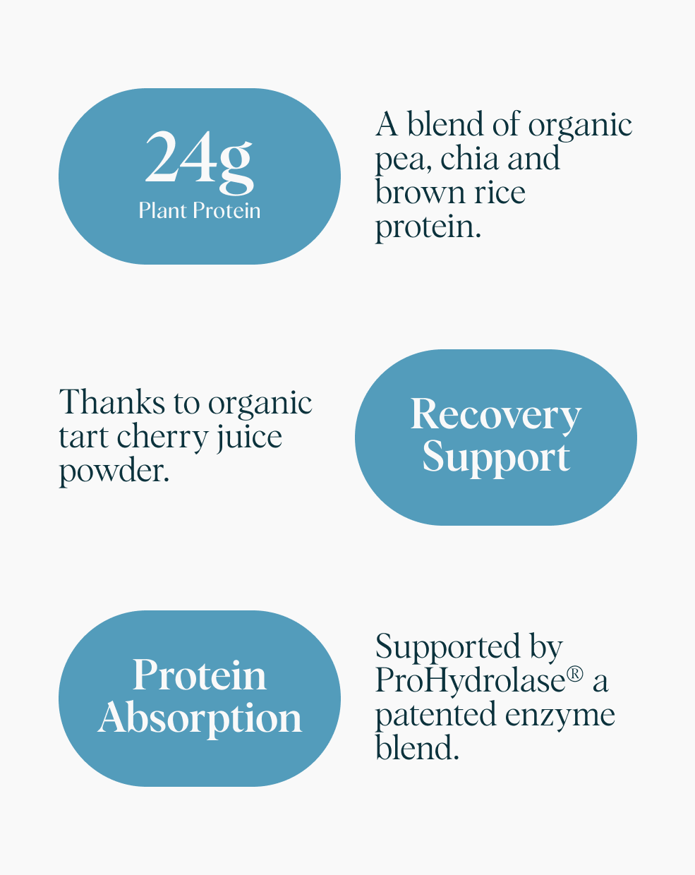 Plant Protein for Lifelong Strength