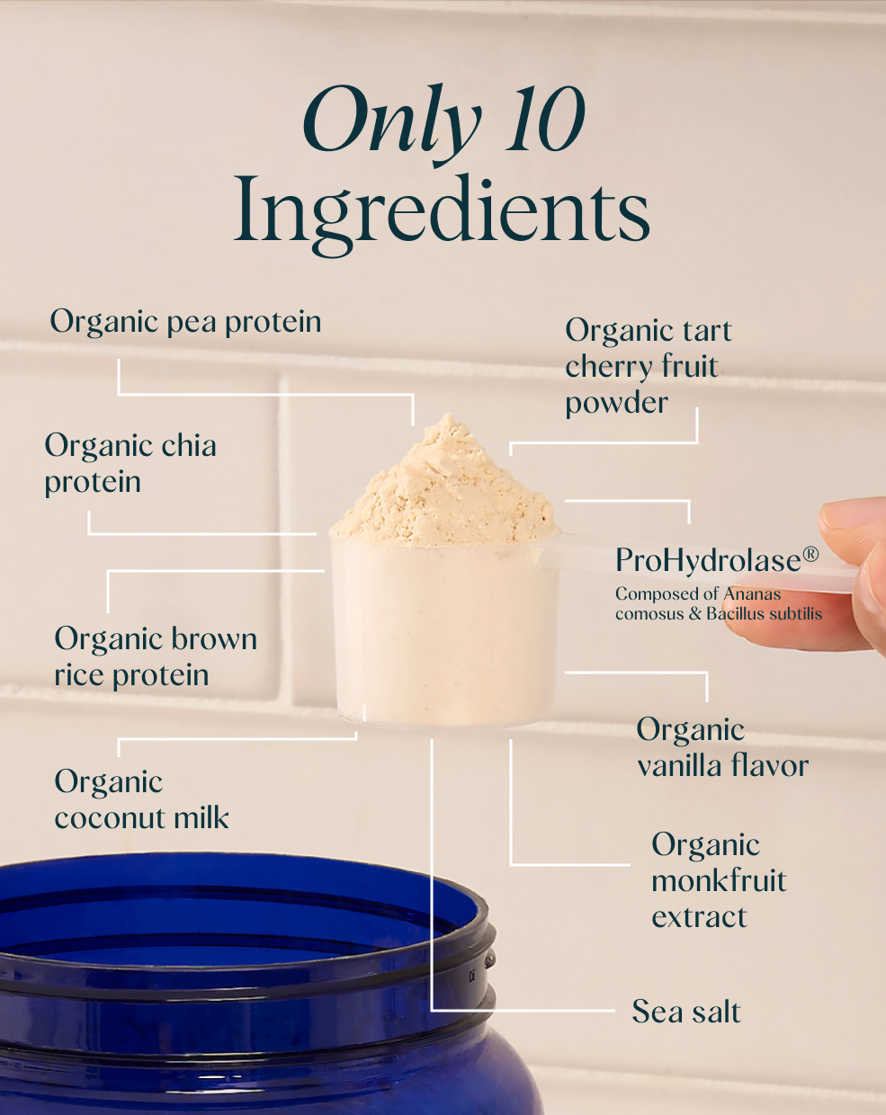 Plant Protein for Lifelong Strength