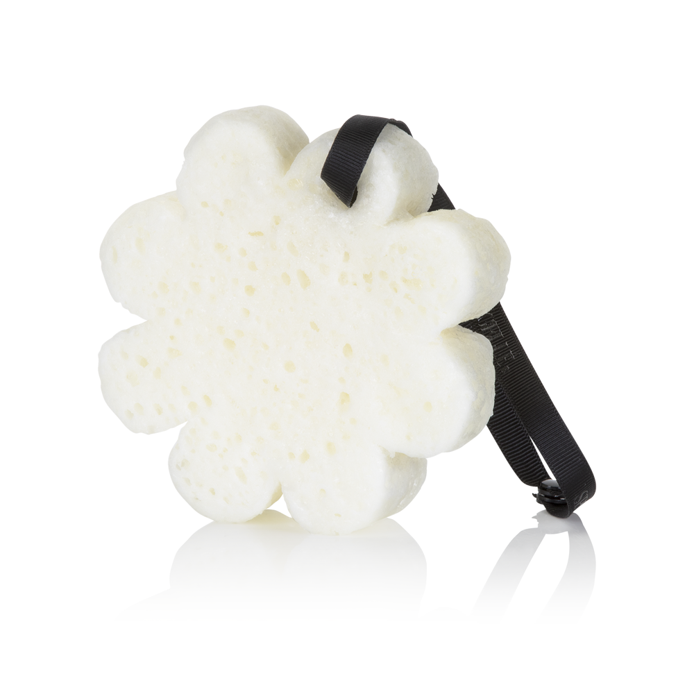 Sugar Dahlia | Vegan-Friendly Boxed Flower — product image