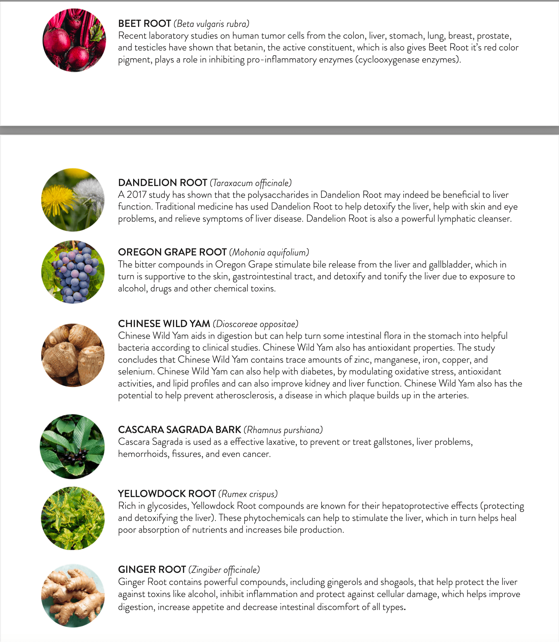 L GUARD | Healthy Balance Market.