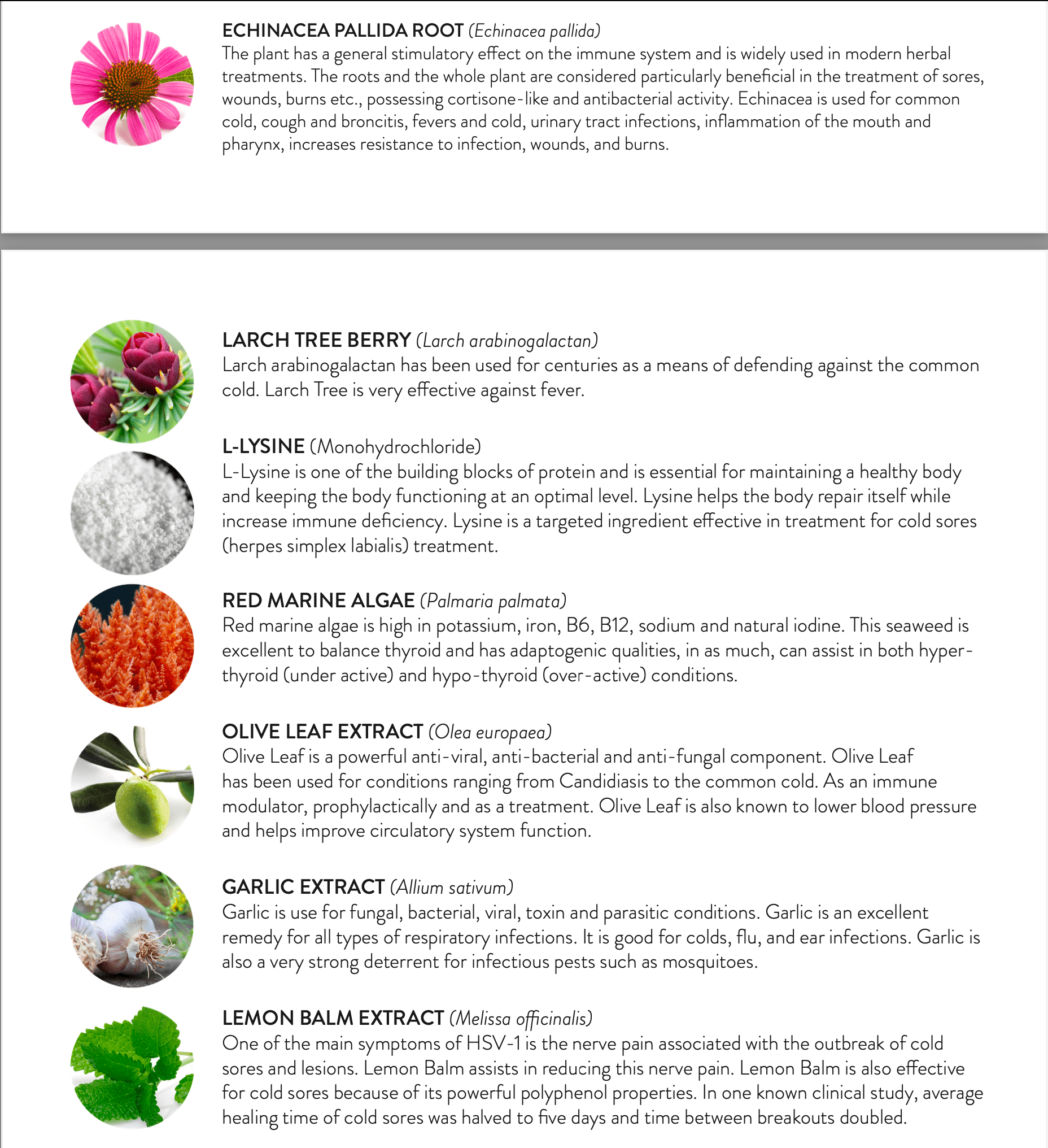 V GUARD | Healthy Balance Market.