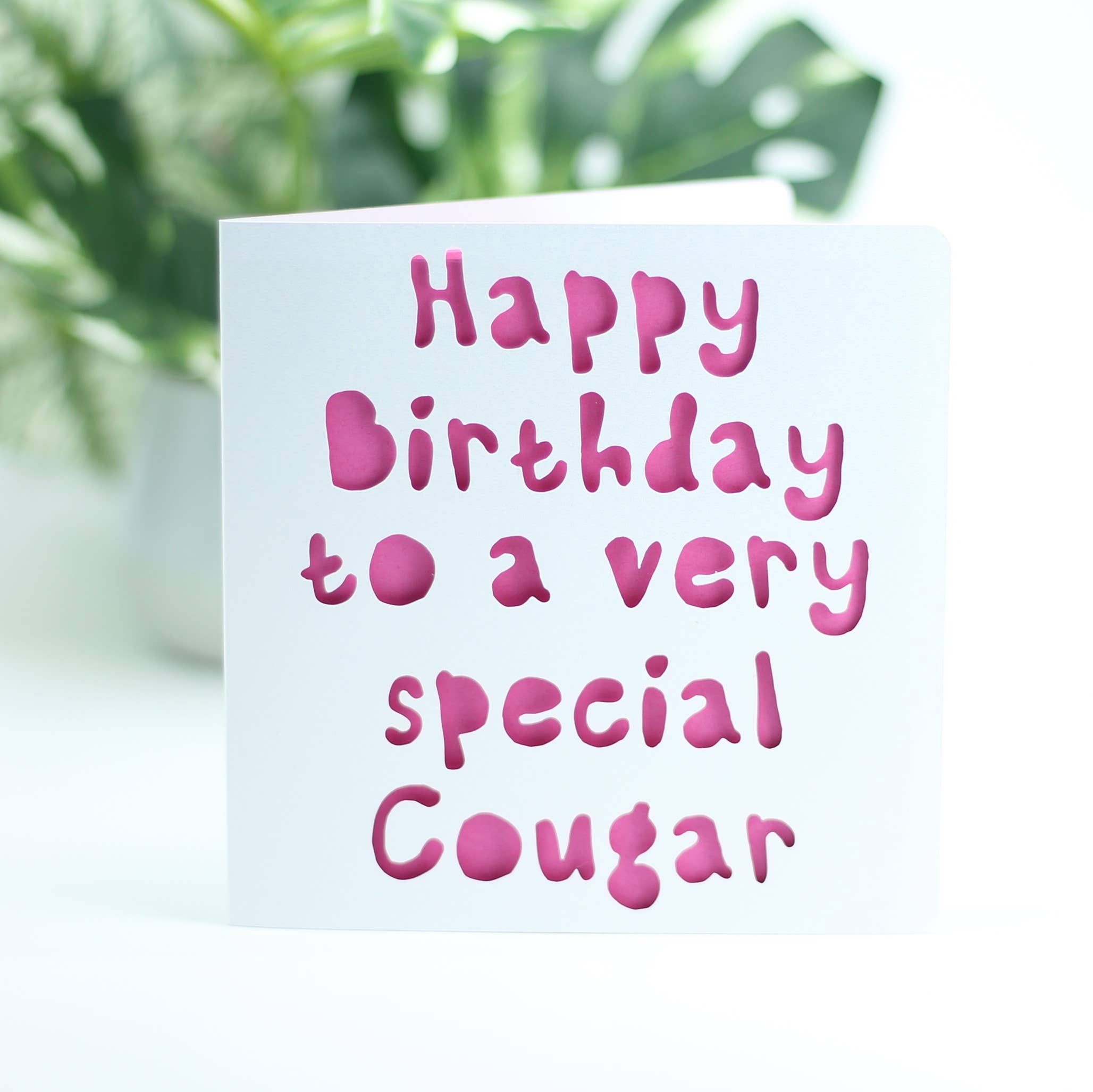 Happy birthday to a very special cougar...: Pink