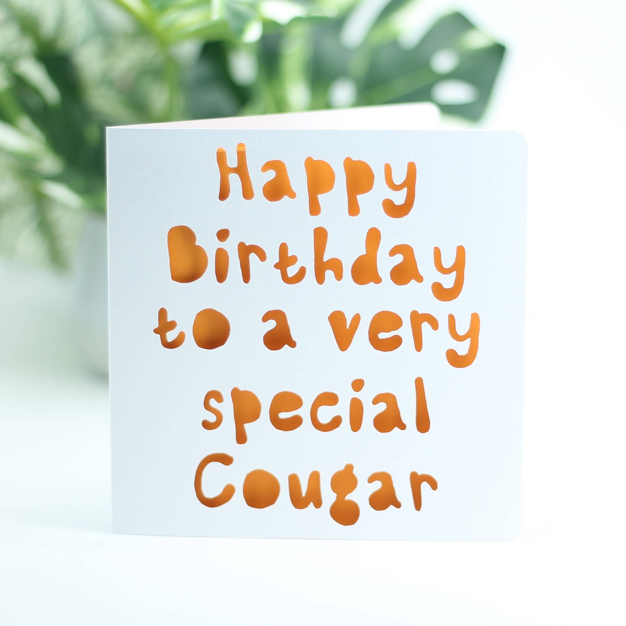 Happy birthday to a very special cougar...: Pink