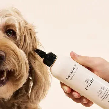 Goldie - Miracle Rinse — product image