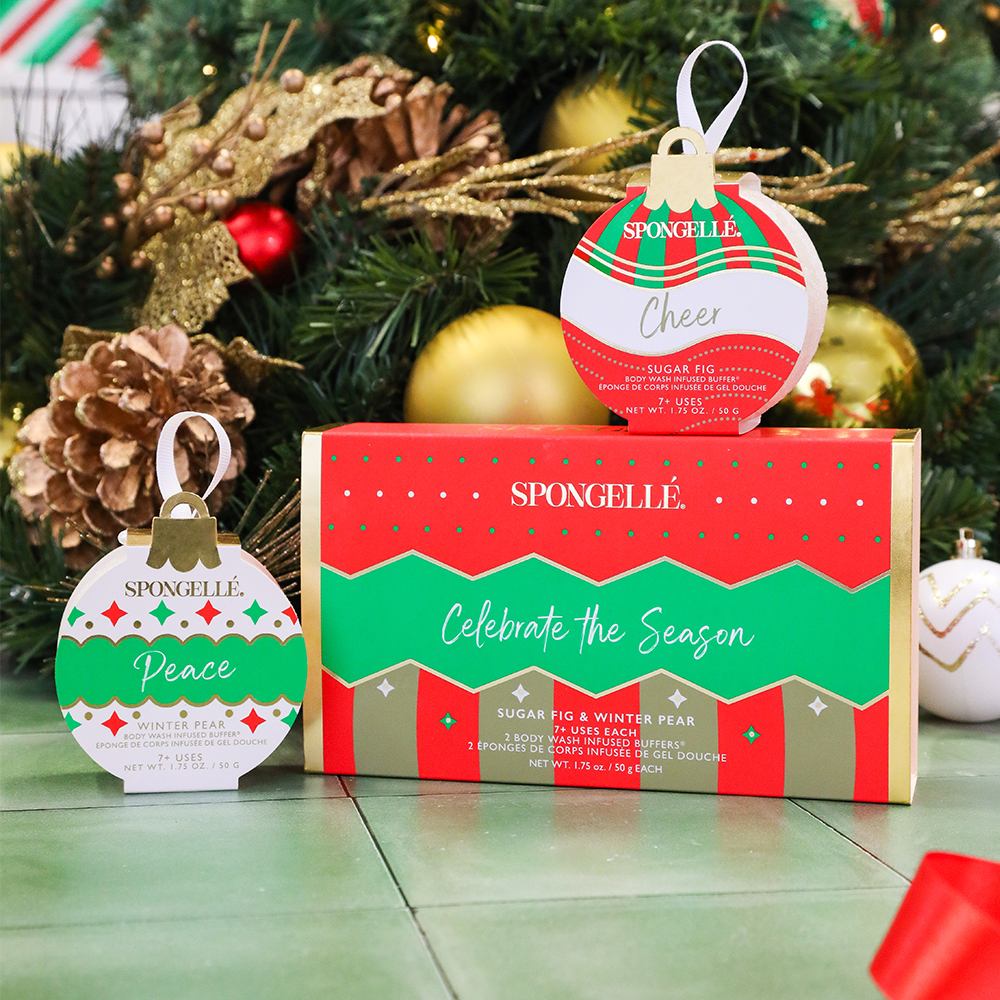 Celebrate the Season | Holiday Ornament Gift Set — product image