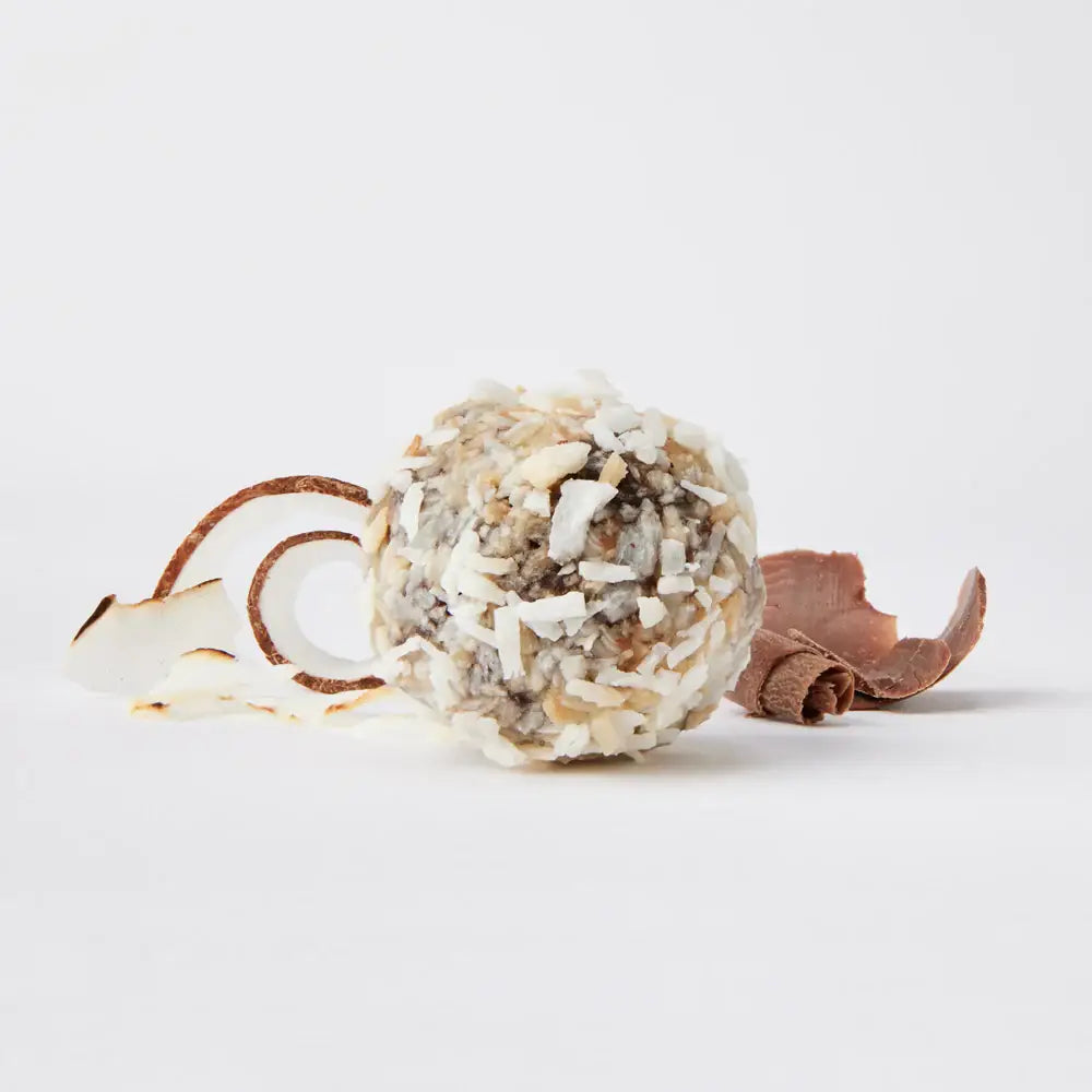 The GFB: Dark Chocolate Coconut Gluten Free Protein Bites 6 pck — product image