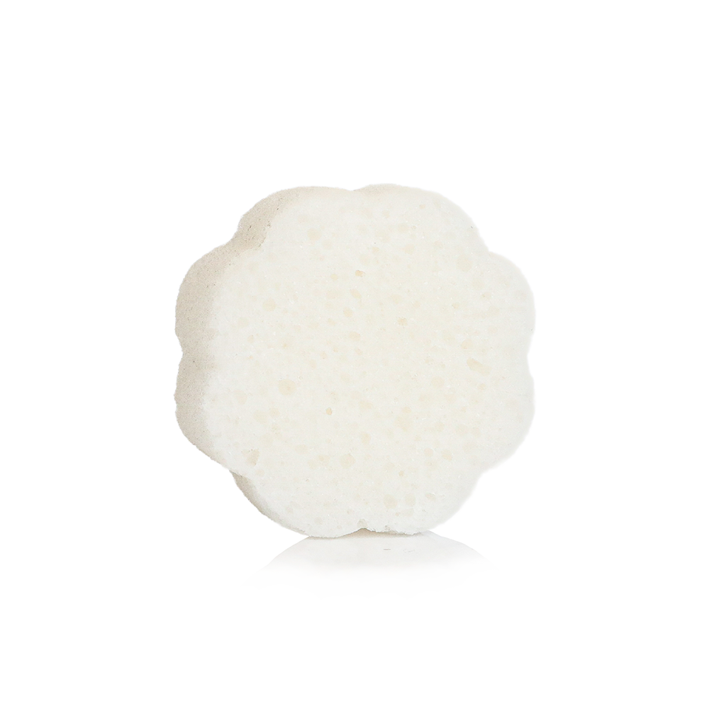 Coconut Verbena | Daisy Spongette — product image