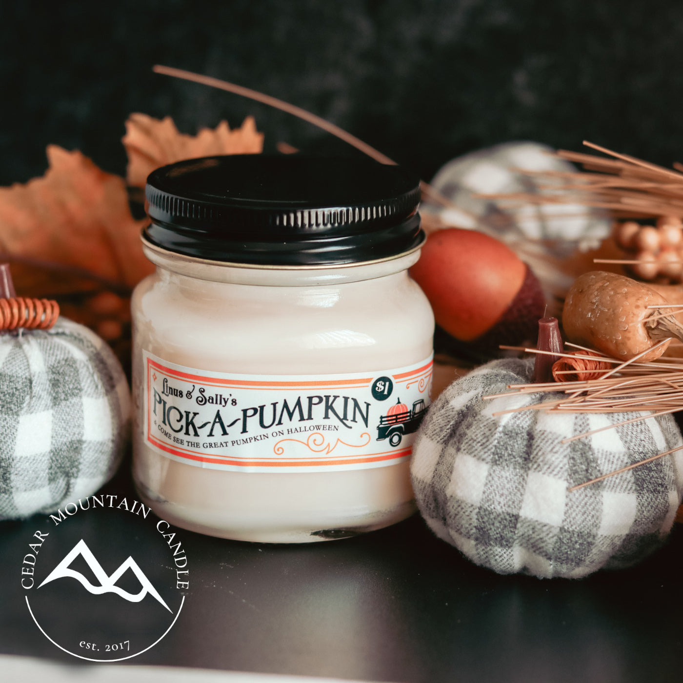 Pumpkin Patch Mason Jar Candle - Fall Scents — product image