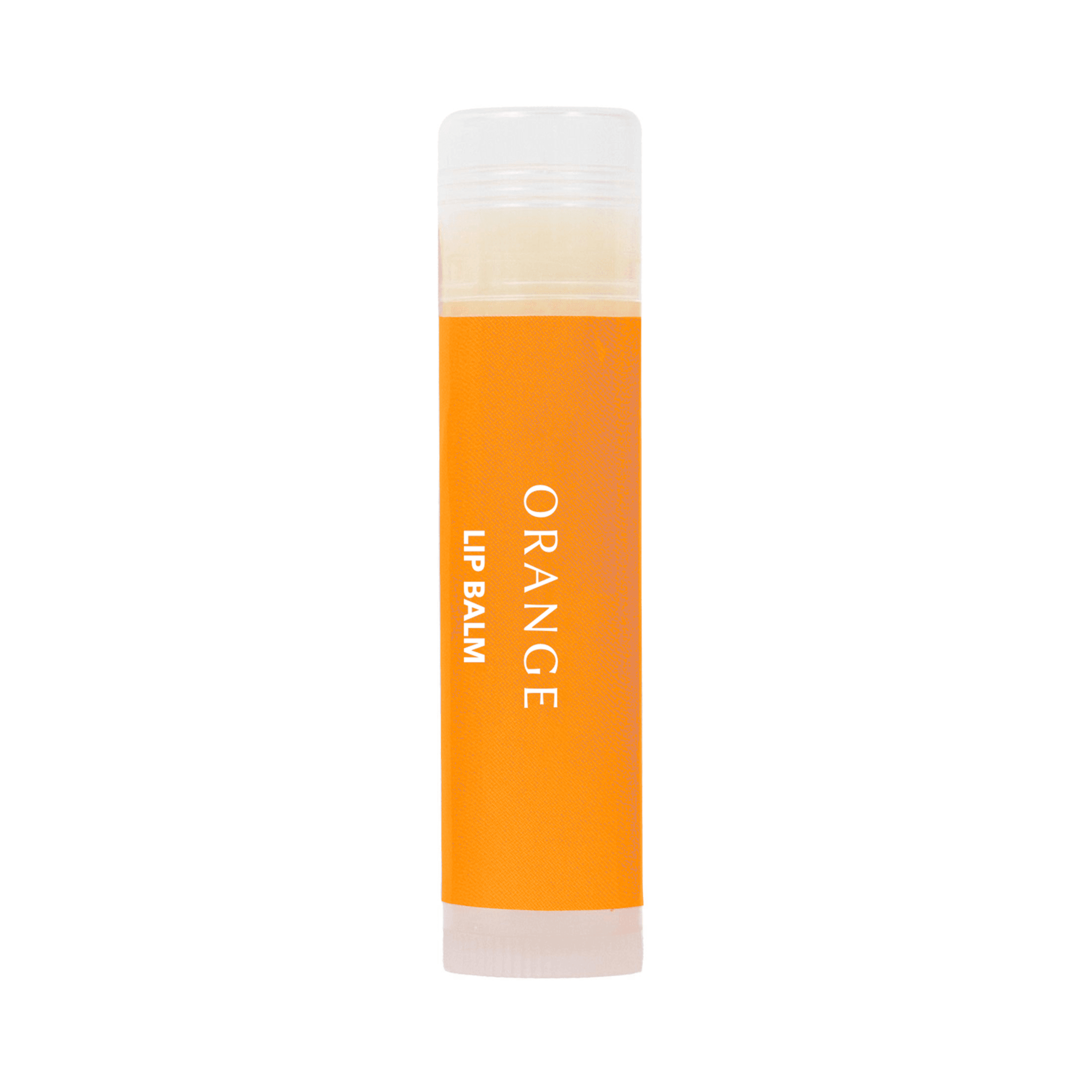 Moisturizing Lip Balm — product image
